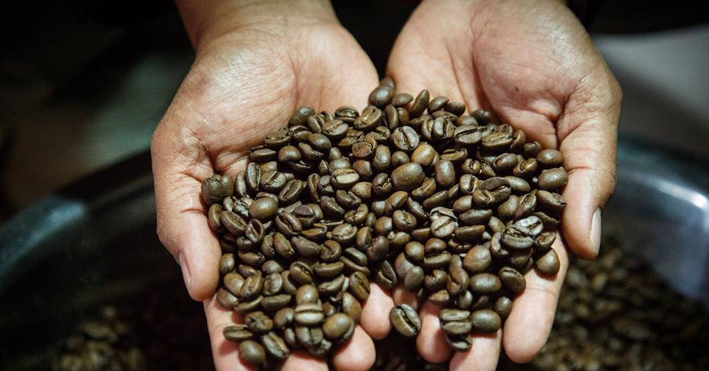 First EUDR coffee verified by Rainforest Alliance shipped | The Grocer