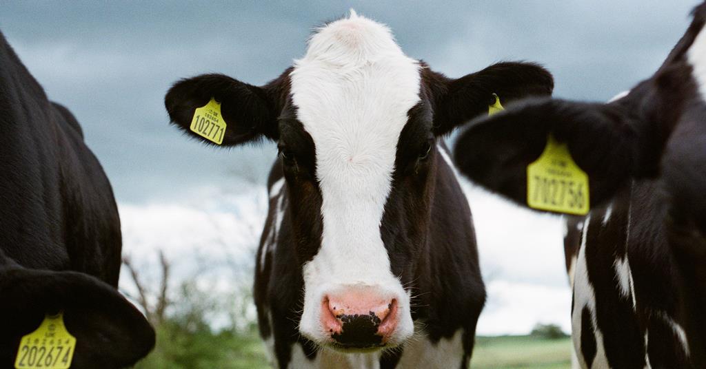 The Dairymen 2021 Can dairy make a difference on climate change