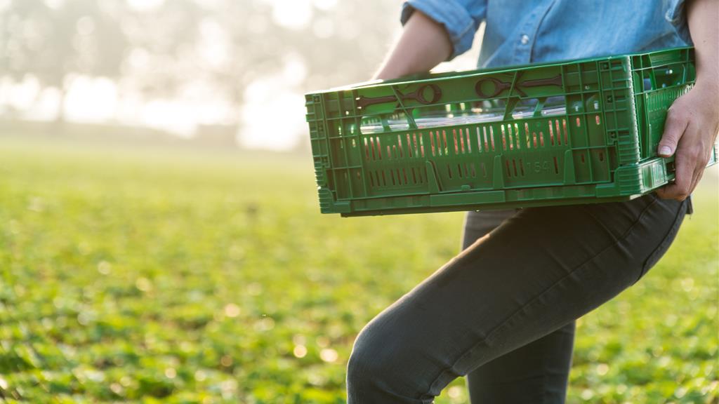 Summit seasonal worker pledge lays bare government rift on immigration