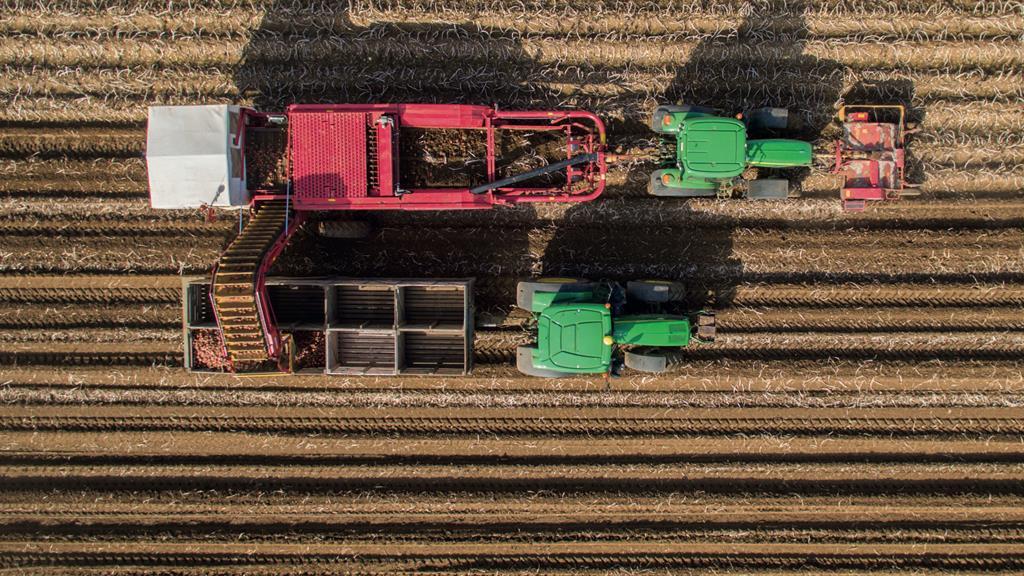 How Tesco works with suppliers Promotional Features The Grocer