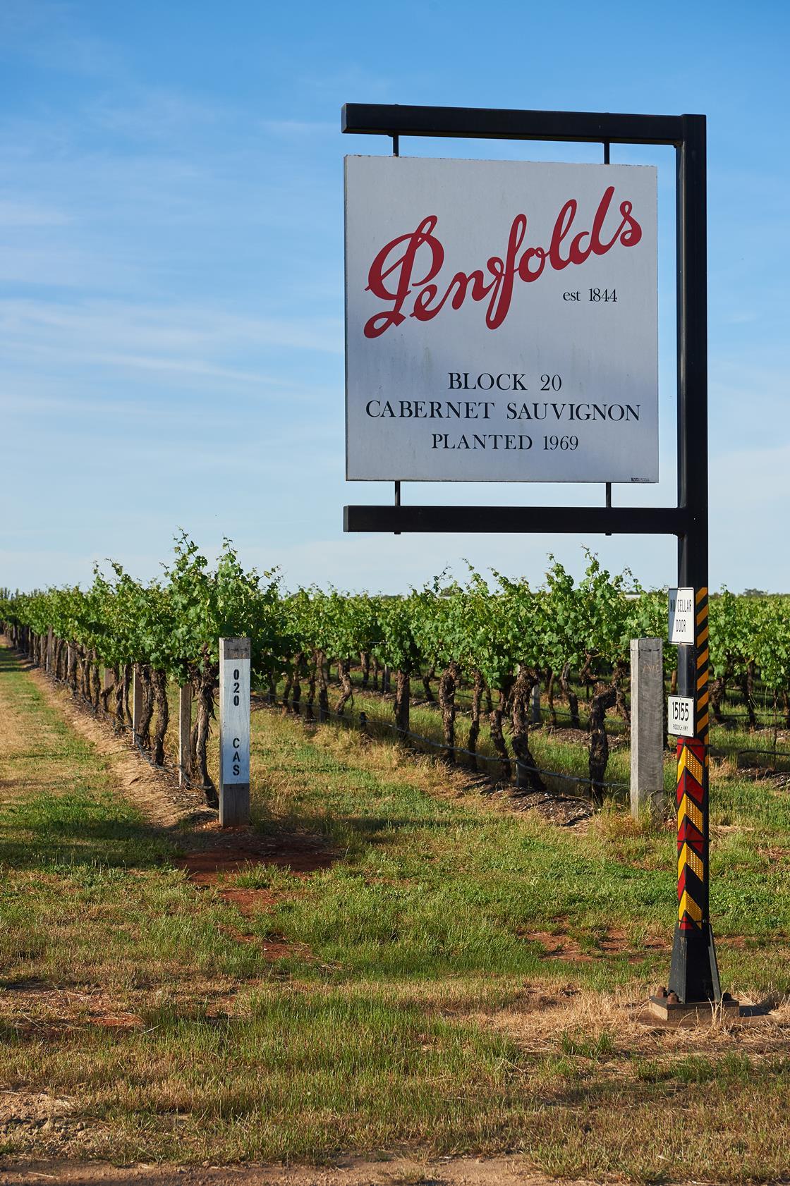 Why Australian wine wins on UK shelves