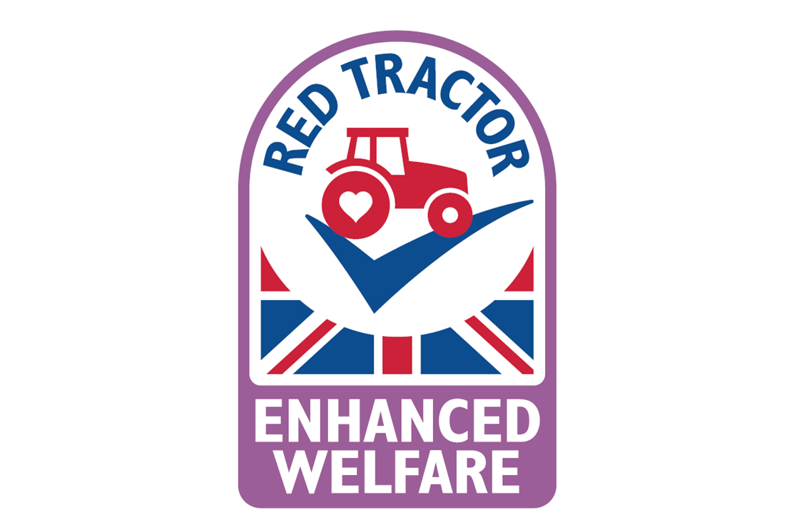 Red Tractor launches new high welfare standard for chicken News The Grocer