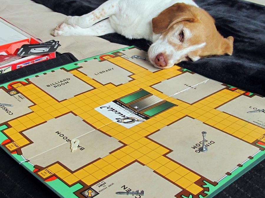 The Coop Group board game not so much Cluedo as Clueless Comment