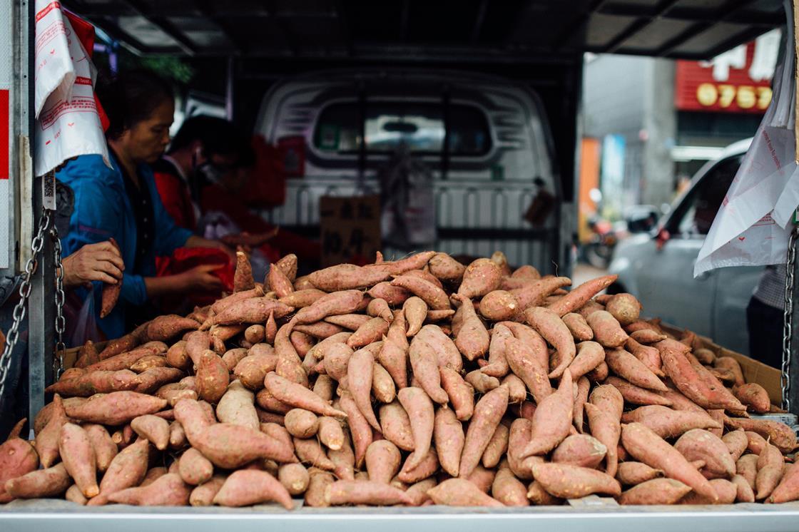 US sweet potato imports to the UK suffer amid shortages News The Grocer