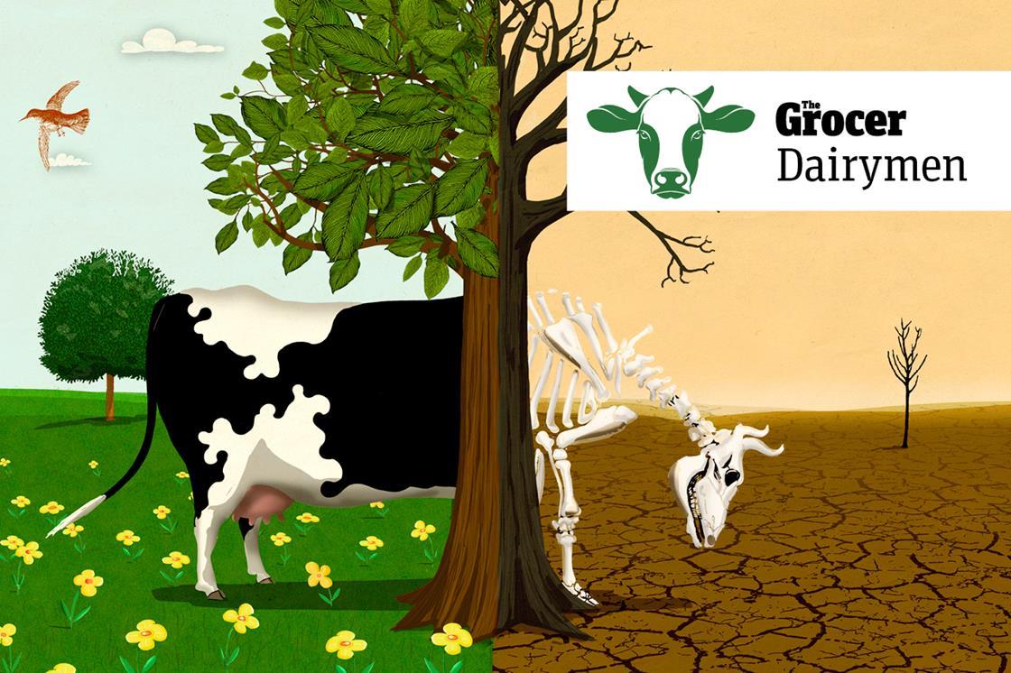 How is the dairy industry addressing climate change? Analysis & Features The Grocer