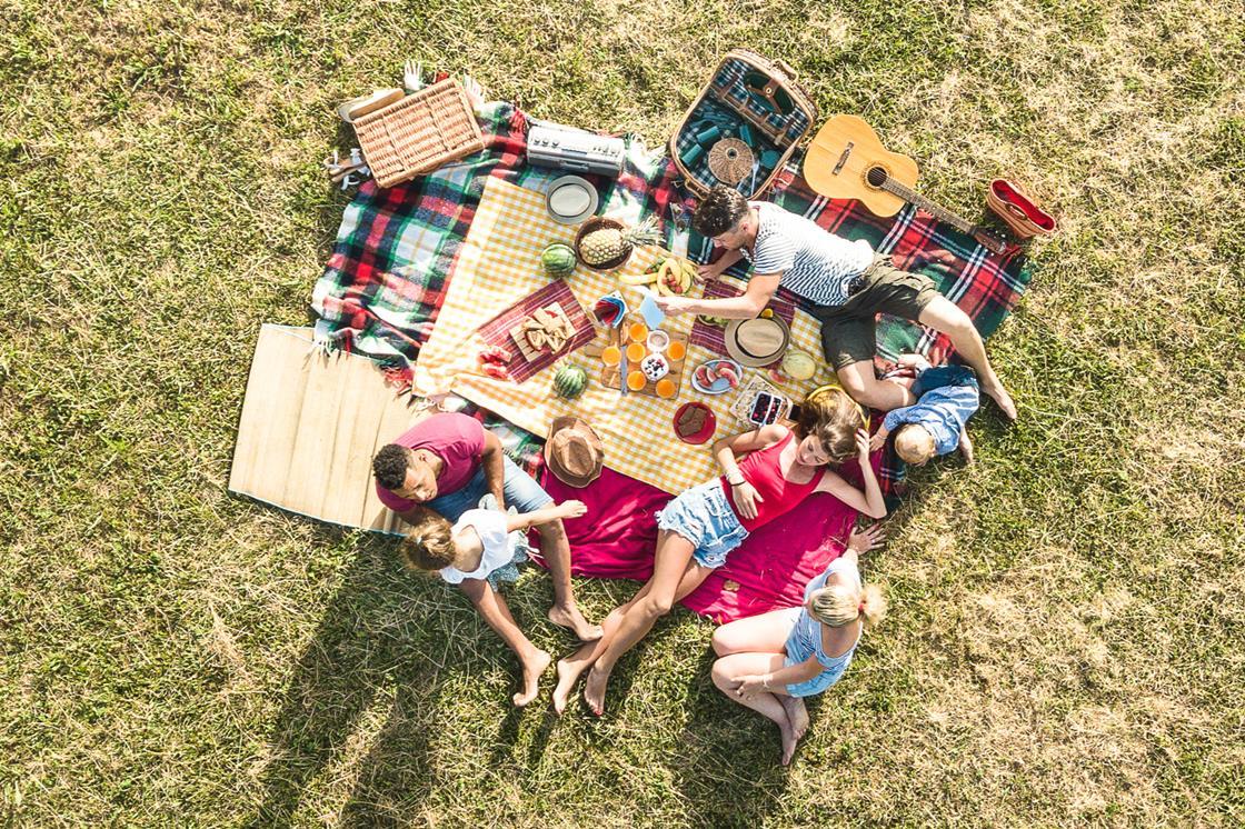 Picnic warning is a reminder industry must step up on salt reduction