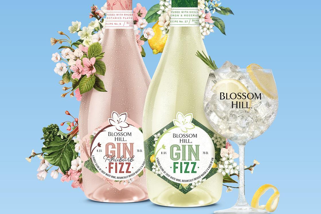 Blossom Hill launches 'botanical-infused' Gin Fizz sub-brand | News