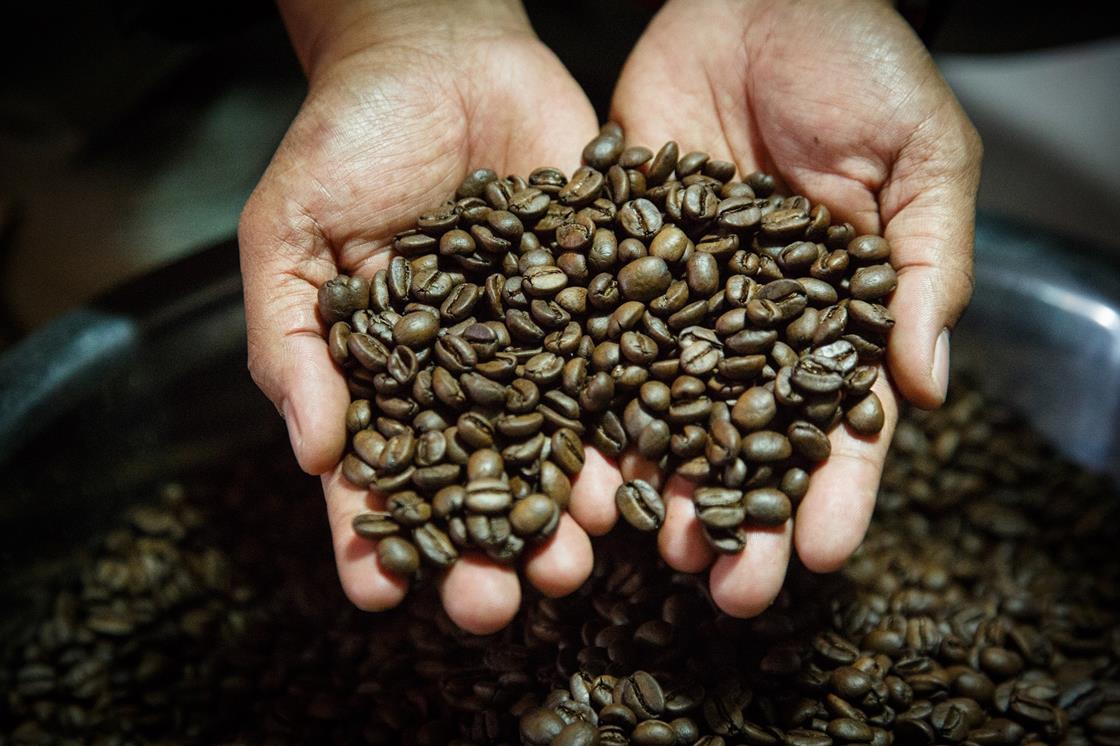 First EUDR coffee verified by Rainforest Alliance shipped | The Grocer