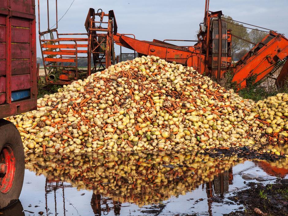 From farm to food waste the prefarmgate fight Analysis & Features