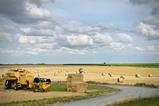 Kellogg's Soil Capital 2