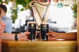 Guinness & Guinness 0.0