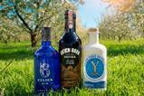 6oclock gin DB & Y Gin (1)