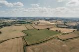 drought fields - getty
