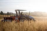 Single use, farmer in field