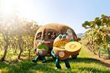 Zespri packed with nutrition SH26 KV
