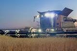 northern pasta co harvest