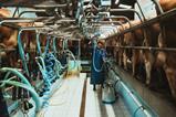 milk machine - getty