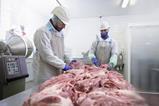 Two men working in a meat processing factory
