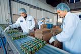 Danone China