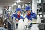 Muller apprenticeships 2
