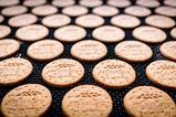 McVitie's Digestive's
