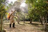 pesticide spraying - Getty