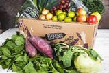 Veg box images - exclusives - Large