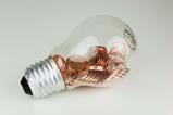 lightbulb