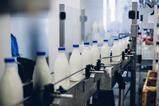 milk bottles on conveyer- getty