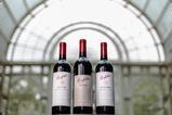 Penfolds' Collection 2015