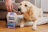 H&D Fish Chews Lifestyle