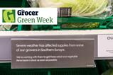 Green Issue - 1