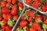 strawberries strawberry punnet