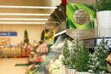 Tesco Extra in North Shields by Alison Spedding