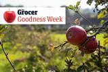 Goodness Week - 1