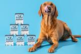 Pooch & Mutt Health & Digestion Bone Broth. Credit Pooch & Mutt