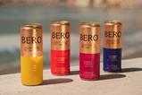 BERO Shandy 1