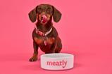 Biscuit with Meatly pet food
