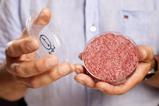 Mosa Meat created fie "first lab-grown beef burger" in 2013