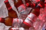 Budweiser bottles - AB InBev