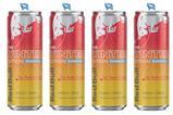 Red Bull Winter Edition Fuji Apple and Ginger