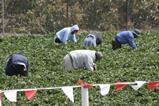 Modern slavery