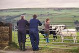 farmers farming people family