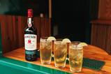 EV-Jameson_Bus-0101-KP