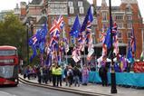 brexit protest