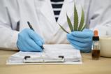 CBD oil