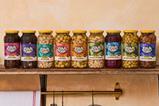0909215_Bold_Bean_128