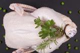 chicken