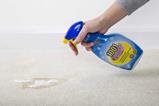 1001 carpet cleaner