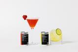 Moth RTD cocktails